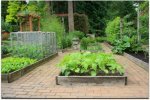 raised bed vegetable garden