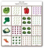 img-free-square-foot-vegetable-garden-plan
