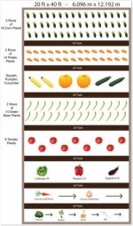 img-20x40-sample-vegetable-garden
