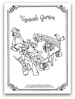 vegetable garden coloring pages for kids - photo #32