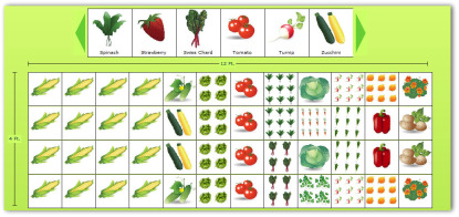 Vegetable Garden Layout