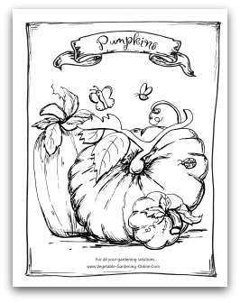 Printable Pumpkin Coloring Page