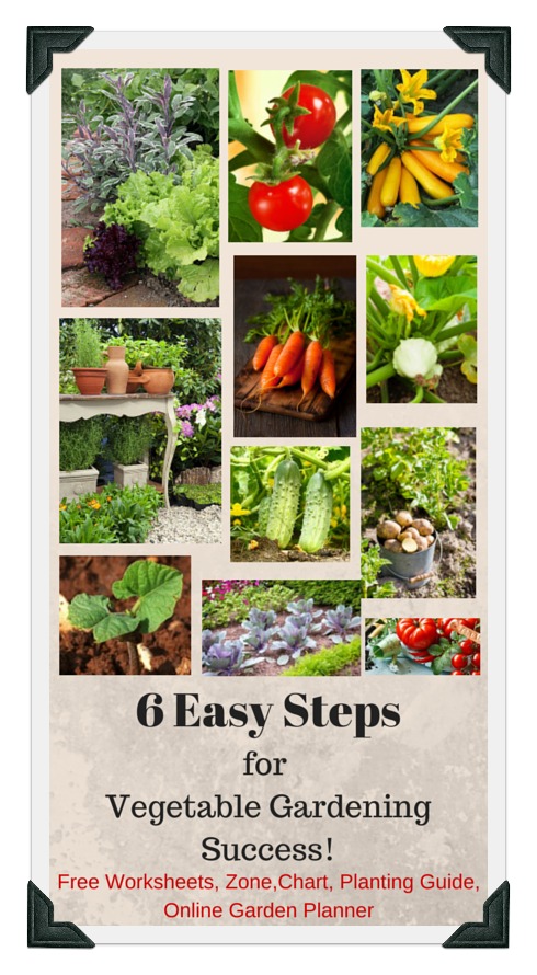 Square Foot Garden Designs, Tips, and Plans