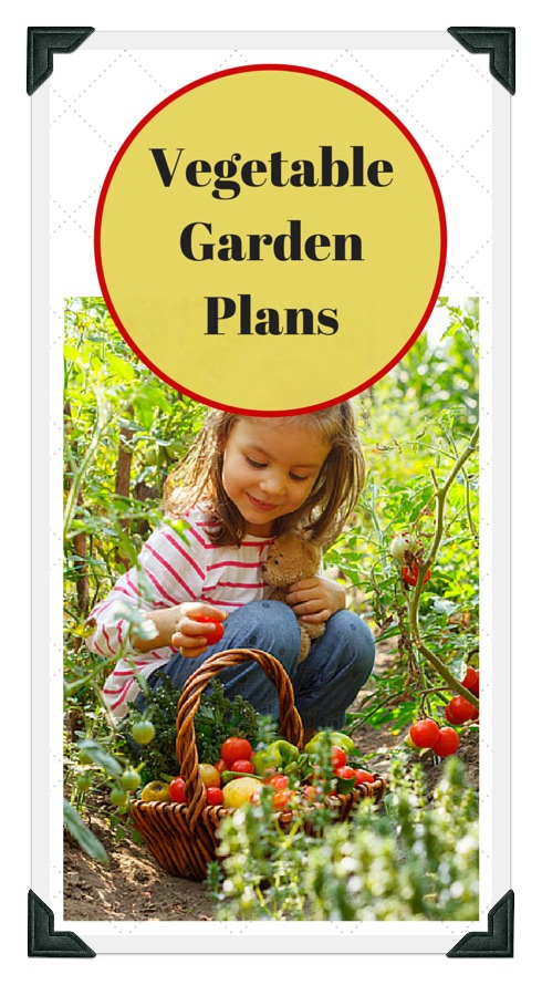 Copyright 2016 Vegetable Gardening Online. All rights reserved.