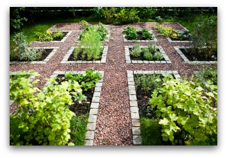 Planning A Home Vegetable Garden