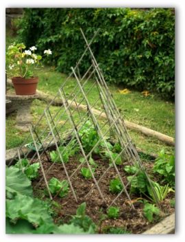 Raised Bed Vegetable Garden Layout