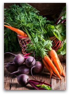 beets and carrots from the garden