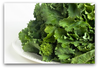 Freshly Picked Broccoli Raab, Rabe, Rapini