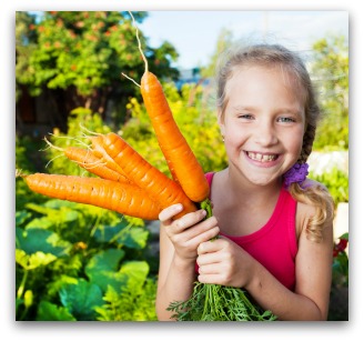 small vegetable garden plan with large carrots