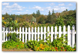 Cheap Garden Fence Ideas