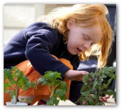 child vegetable garden