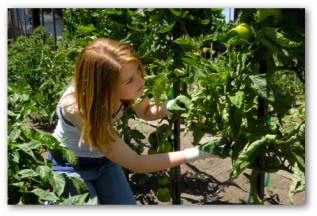 companion planting vegetables