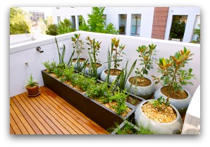 Easy Examples of Container Gardens balcony container garden example