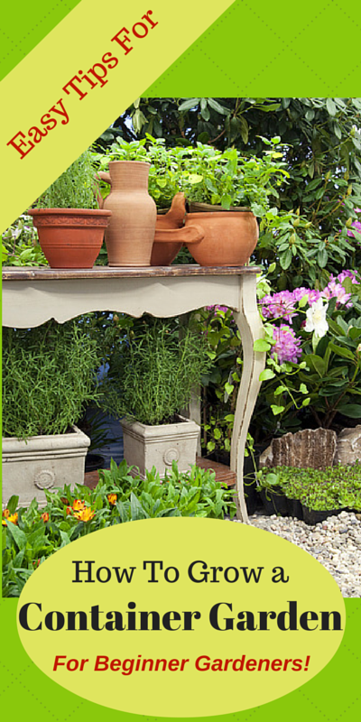 5 easy tips for container vegetable gardens