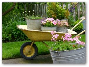 Container Vegetable Gardening, Container Garden Ideas, Container ...