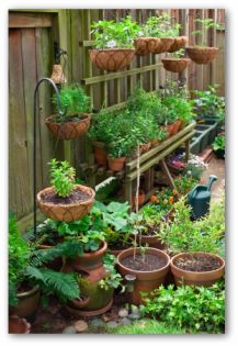Easy Examples Of Container Gardens