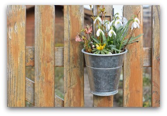 Cheap Garden Fences Can Be Attractive With Some Imagination