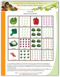 Square Foot Vegetable Garden Layout