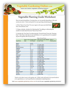 Vegetable Planting Guide