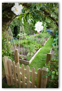 beautiful garden with wooden fence