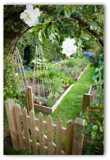 Vegetable Garden Fence Plans and Ideas