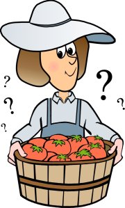 Charlotte answers vegetable gardening questions