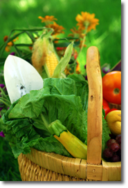 Vegetable gardening tips