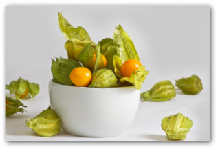 ground cherries