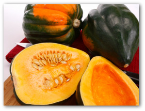 growing acorn squash