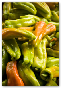 growing banana peppers