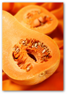 growing butternut squash