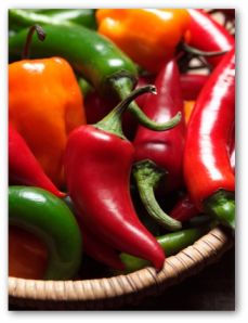 growing chili peppers