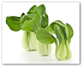 fresh bok choy