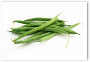 growing green beans