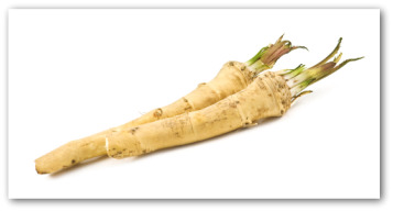 growing horseradish