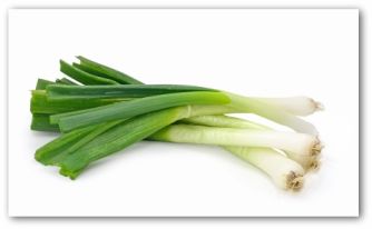 fresh green onions
