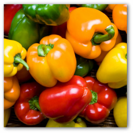 Growing Peppers