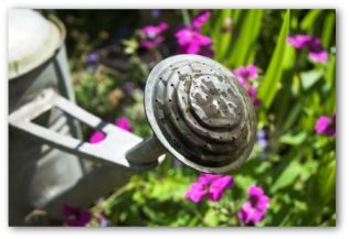 metal watering can