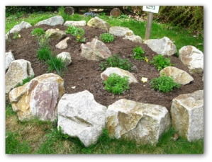 rock garden design