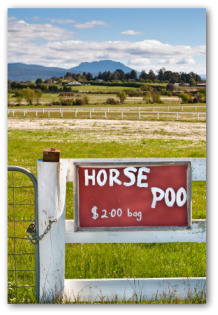sign advertising horse manure for sale