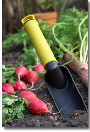 How to garden