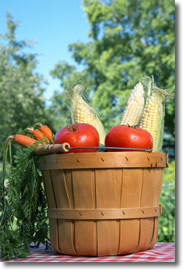 How to garden