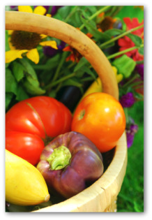 how to grow a vegetable garden