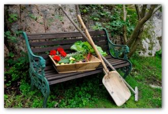 growing a garden