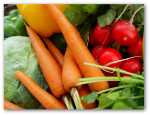 vegetable gardening