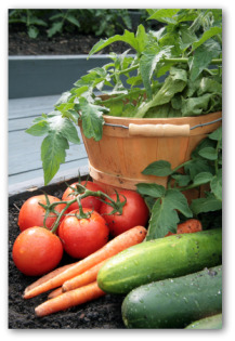 vegetable gardening ebook