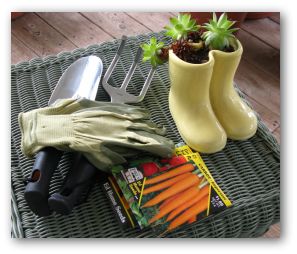 hand rake, trowel and seed packets