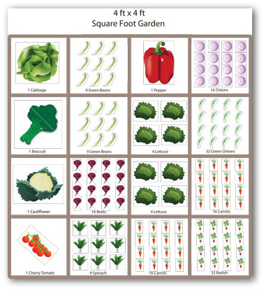 Square Foot Gardening Spacing Chart