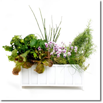 Indoor Gardening Supplies on Your Source For Indoor Gardening Supplies  Plant Stands  Plant