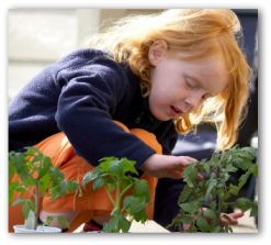 indoor gardening tips